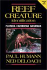 Reef Creature Identification: Florida, Caribbean, Bahamas