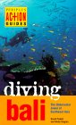 Diving Bali : The Underwater Jewel of Southeast Asia