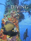 Diving in the Caribbean