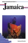 Diving and Snorkeling Guide to Jamaica