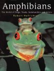 Amphibians: The World of Frogs, Toads, Salamanders and Newts
