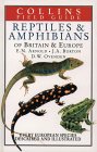 Reptiles and Amphibians of Britain and Europe