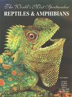 World's Most Spectacular Reptiles and Amphibians
