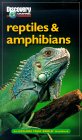Reptiles and Amphibians : An Explore Your World Handbook