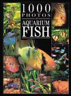 1000 Photos of Aquarium Fish