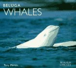Beluga Whales (World Life Library Series)