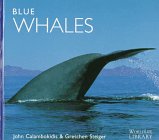 Blue Whales (WorldLife Library Series)