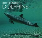 Bottlenose Dolphins