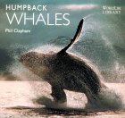 Humpback Whales (World Life Library)