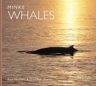 Minke Whales (World Life Library Series)