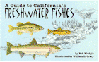 A Guide to California's Freshwater Fishes