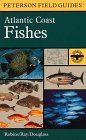 A Field Guide to Atlantic Coast Fishes : North America