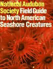 Field Guide to North American Seashore Creatures