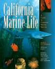 California Marine Life