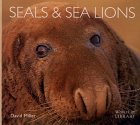 Seals and Sea Lions (World Life Library)