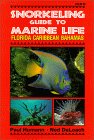 Snorkeling Guide to Marine Life : Florida, Caribbean, Bahamas