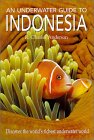 An Underwater Guide to Indonesia