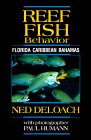 Reef Fish Behavior : Florida, Caribbean, Bahamas
