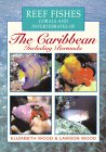 Reef Fishes, Corals and Invertebrates of the Caribbean