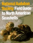Field Guide to North American Seashells