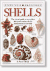 DK Handbooks: Shells