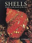 Shells : Guide to the Jewels of the Sea