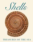 Shells : Treasures of the Sea