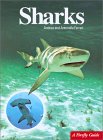Sharks (Firefly Guide)